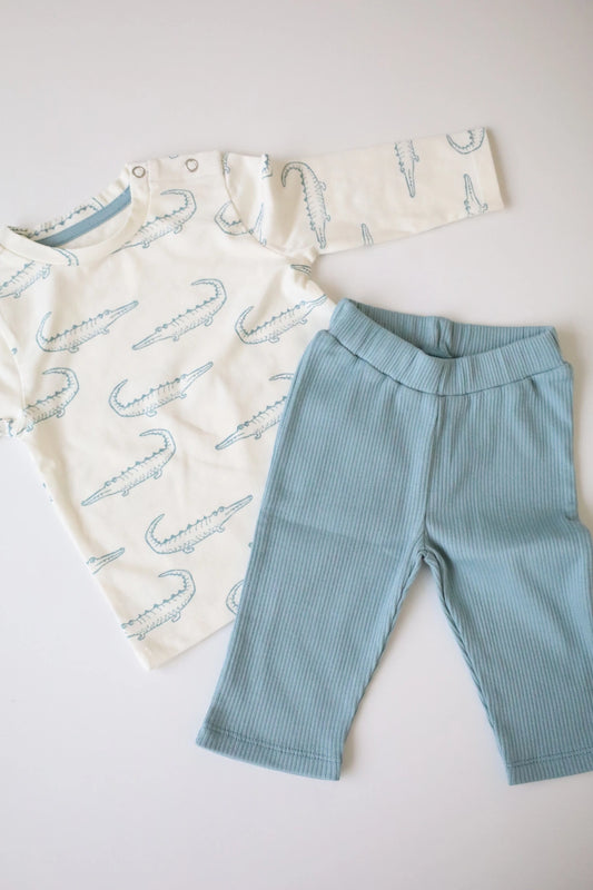 Crocodile-Kids-T-Shirt-and-Pant-Set