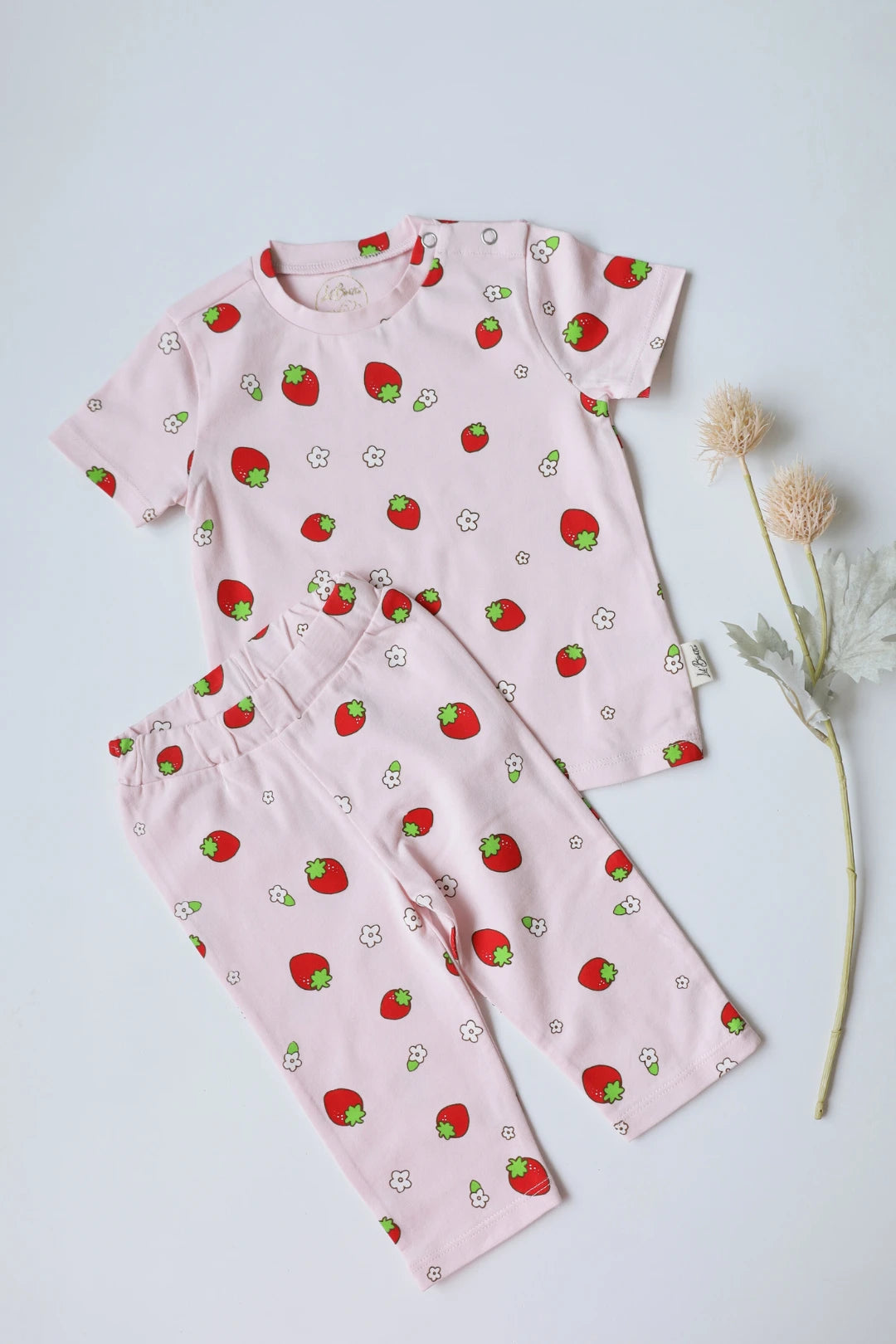 Fragaria-Kids-T-Shirt-and-Pant-Set