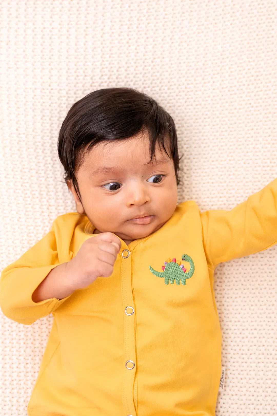 Snuggle_Saurus-Full-Sleeve-Newborn-Jabla