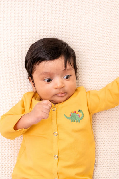 Snuggle_Saurus-Full-Sleeve-Newborn-Jabla